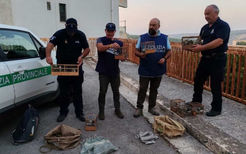 Caccia sicura, sequestrati tre fucili, munizionamento e un coniglio selvatico appena abbattuto