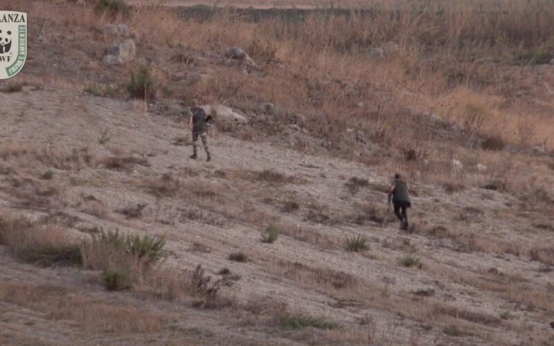 Bracconaggio nella Piana di Gela