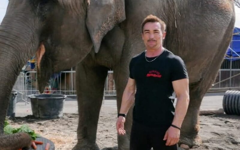 Sentenza storica: il Consiglio di Stato dà ragione al Circo Madagascar