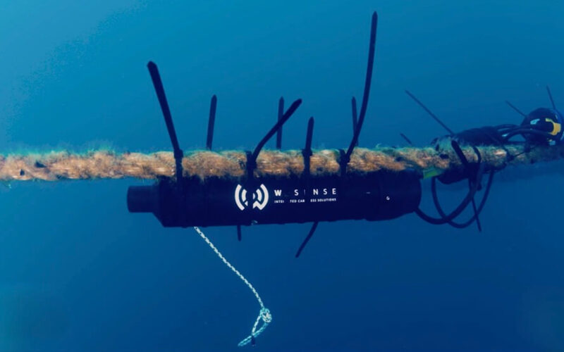 Il mare “parla”: sensori e IA per proteggerlo