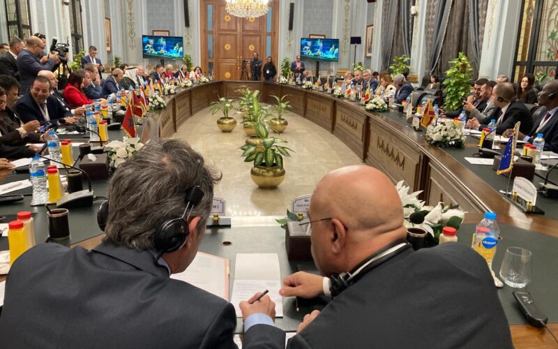 Cooperazione EuroMediterranea