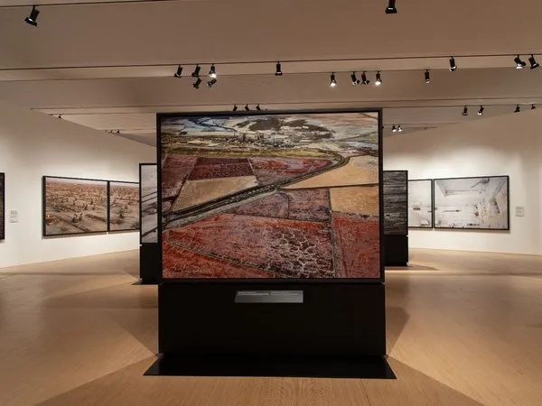 Galleria Leòn di Bologna Festeggia l’Anniversario con “Corpus”: Il Corpo tra Utopia e Resistenza