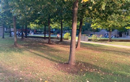 Rigenerazione Urbana: Boom di Adesioni al Bando Siciliano per il Verde