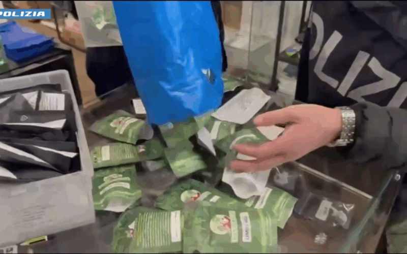 Vasta operazione di Polizia in diverse province: 384 arresti e 655 denunce (Video)