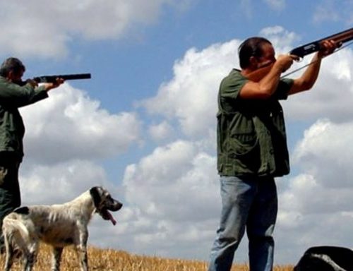 Bracconaggio, critiche all’operato della polizia provinciale