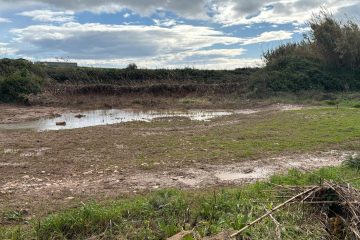 Ciclone Harry, pubblicato l’avviso per i danni alle imprese agricole