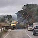 Ciclone Harry: la Sicilia sferzata dai venti