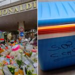 La morte di Domenico, le testimonianze di tre infermieri: ‘provammo a scongelare il cuore con acqua fredda, tiepida e calda’