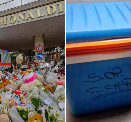 La morte di Domenico, le testimonianze di tre infermieri: ‘provammo a scongelare il cuore con acqua fredda, tiepida e calda’