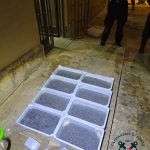 Portopalo: pescavano “neonata”, scatta la sanzione