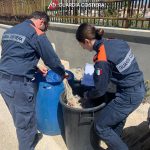 La Guardia costiera sequestra prodotti ittici a Pachino