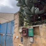 Palermo: indagini sulla morte di una 50enne