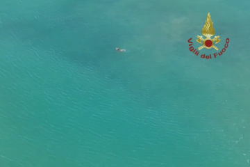 Terzo giorno di ricerca del ragazzo scomparso in mare (Video)