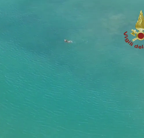 Terzo giorno di ricerca del ragazzo scomparso in mare (Video)