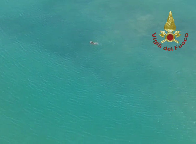 Terzo giorno di ricerca del ragazzo scomparso in mare (Video)