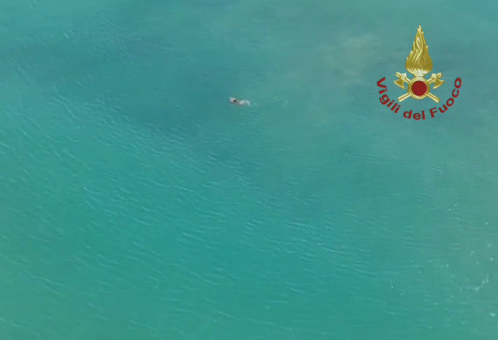 Terzo giorno di ricerca del ragazzo scomparso in mare (Video)