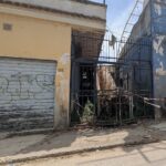 Enorme pino crollato a Fon tane Bianche: “Rimovetelo”
