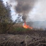 Plauso dell’Associazione “Love Arenella” al Corpo dei Vigili del Fuoco