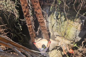 Palazzolo: bovino salvato dai vigili del fuoco