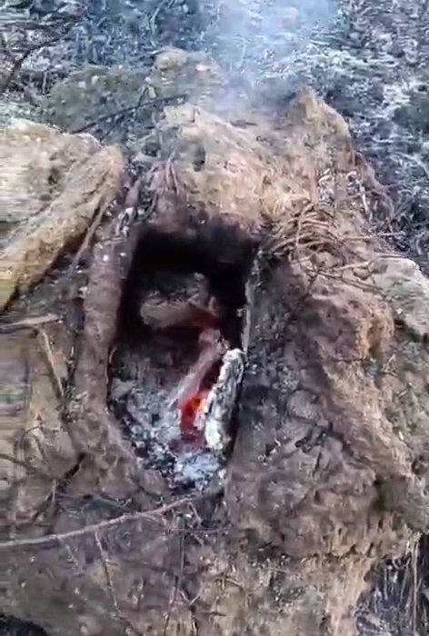 Un falò la causa del rogo al canneto dell’Arenella