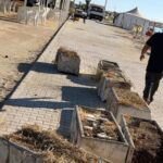 Marina di Priolo, al via i lavori per la stagione balneare: riparati i danni del ciclone Harry