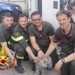 Palazzina in fiamme: salvate due persone e una cagnolina