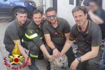 Palazzina in fiamme: salvate due persone e una cagnolina