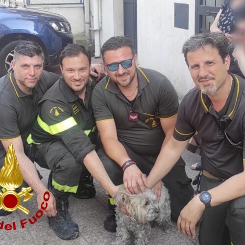Palazzina in fiamme: salvate due persone e una cagnolina