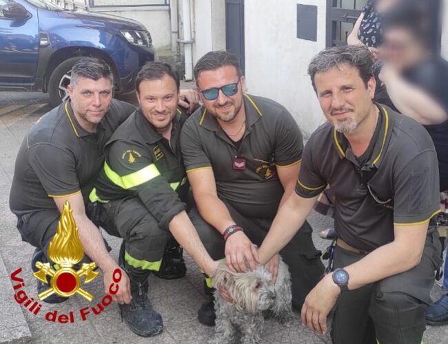 Palazzina in fiamme: salvate due persone e una cagnolina