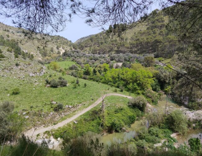 Parco Nazionale degli Iblei, Natura Sicula: “Basta giochi di potere”