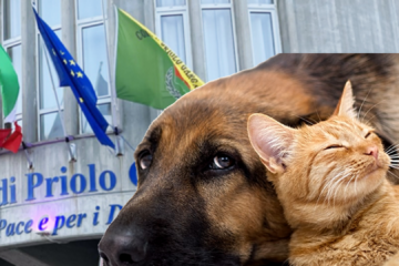 “Priolo Gargallo, encomio nazionale per tutela animali: Comune esempio per l’Italia”