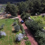 Parco Iblei, Cannata e Carbè: “No a vincoli dall’alto”