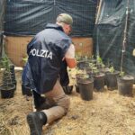 Lentini: una denuncia per produzione di sostanze stupefacenti e possesso illegale di munizioni