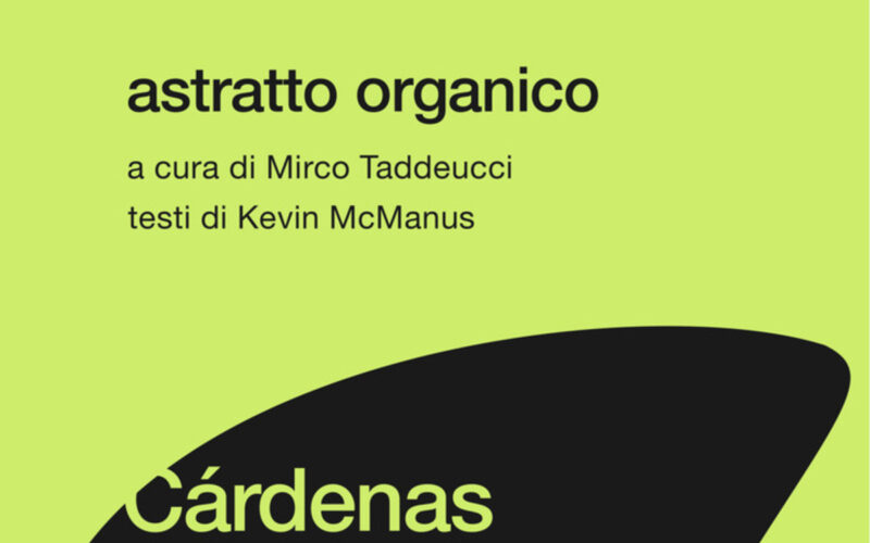 Massa Astratto Organico mostra