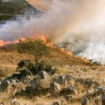 Sicilia incendi, Federparchi: rischio primato regione più bruciata d’Italia