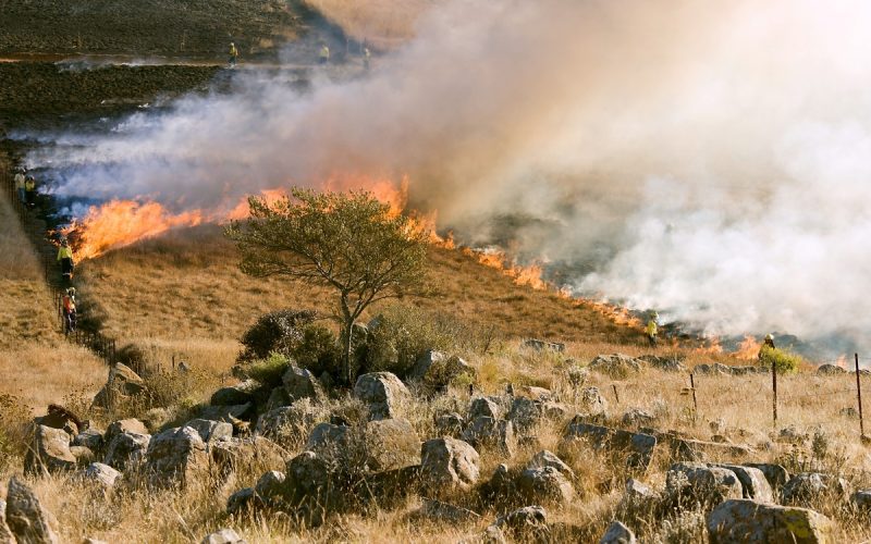 Sicilia incendi Federparchi