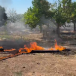 Vasto incendio a ridosso della riserva Ciane e Saline