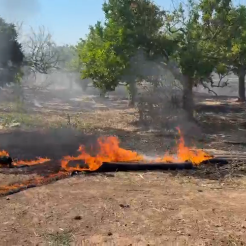 Vasto incendio a ridosso della riserva Ciane e Saline