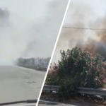 Vasto incendio nella zona industriale di Catania (VIDEO)