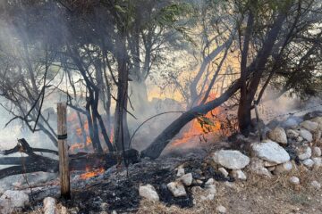 Incendio minaccia villette nella zona di Ognina