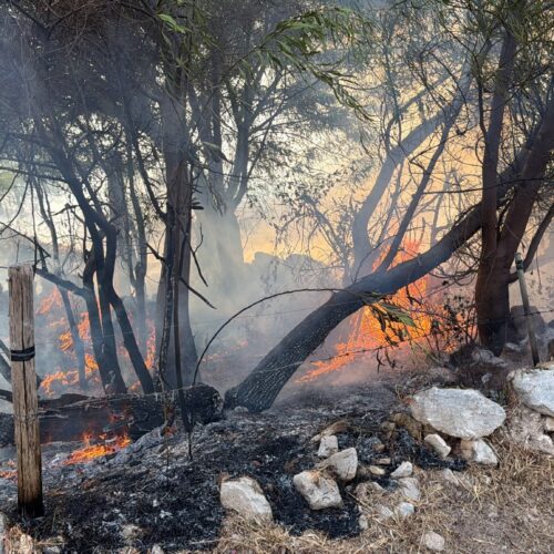 Incendio minaccia villette nella zona di Ognina