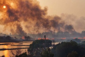 Riserva Ciane e saline in fumo: l’incuria presenta il conto