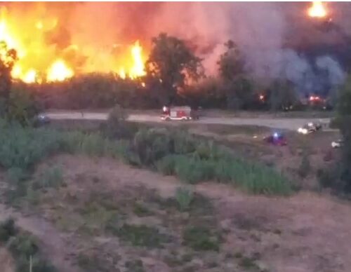 Incendi: 198 roghi in Sicilia nel fine settimana