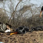 Tragedia aerea in Perù: tredici vittime nel disastro di Nazca, sette sono turisti italiani