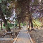 Floridia, nuova area nella pineta del Liceo: Natura Sicula propone modifiche al progetto