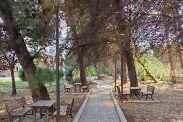 Floridia, nuova area nella pineta del Liceo: Natura Sicula propone modifiche al progetto