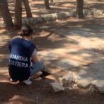 Controlli ambientali Guardia Costiera: due sanzioni per scarichi non conformi