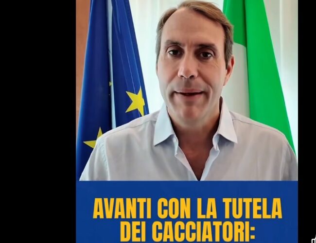 Sicilia, scontro sulla caccia: il Wwf contro l’assessore Sammartino