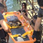 Recuperata una tartaruga ad Arenella-Asparano