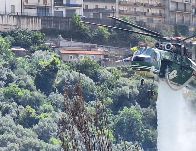 Chiaramonte Gulfi, incendio nella pineta di contrada Santa Lucia: le fiamme minacciano abitazioni e centro abitato